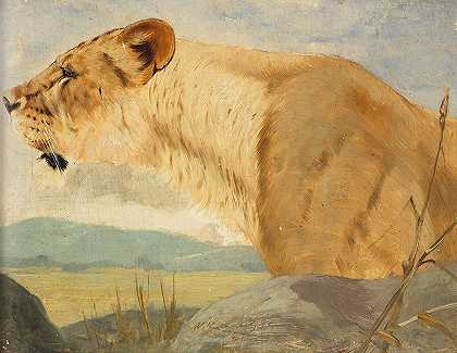 母狮的头`Head of a Lioness (1891) by Wilhelm Kuhnert