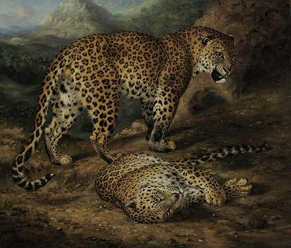 两只豹子`Two leopards by William Huggins