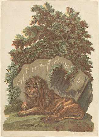 狮子`The Lion (1754) by John Baptist Jackson
