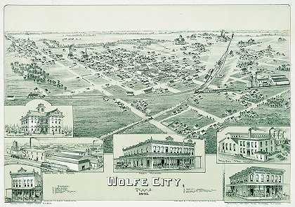 德克萨斯州沃尔夫市古董地图1891`Antique map of Wolfe City, Texas 1891 by Thaddeus Mortimer Fowler