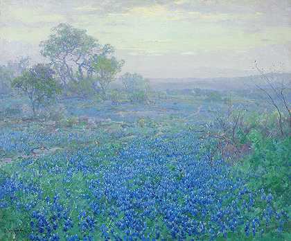 多云的一天，德克萨斯州圣安东尼奥附近的蓝蜂队`A Cloudy Day, Bluebonnets near San Antonio, Texas by Julian Onderdonk