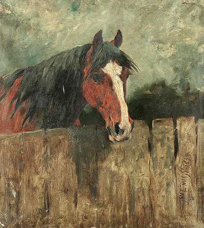马的研究`Study of a horse by John Emms