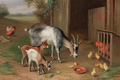 农场院子里的山羊和鸡` Goats and chickens in a farmyard by Edgar Hunt