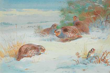 冬季风景中的鹧鸪和金翅雀`Partridge and a goldfinch in a winter landscape by Archibald Thorburn