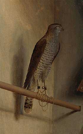 麻雀鹰`A Sparrowhawk by Jacopo de Barbari
