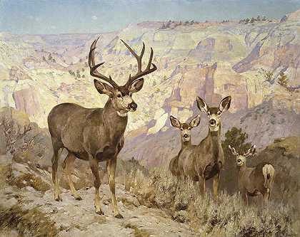 蒙大拿州道森县荒地里的骡鹿`Mule Deer in the Badlands, Dawson County, Montana by Rungius Carl