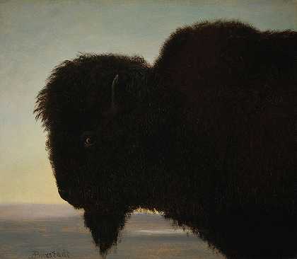 公牛水牛`Bull Buffalo by Albert Bierstadt