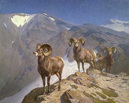 威尔科克斯山口的登山者大角羊`The Mountaineers-Big Horn Sheep on Wilcox Pass by Rungius Carl