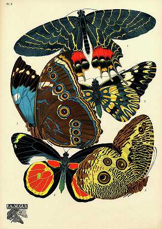 蝴蝶2号盘`Butterflies, Plate-2 by Painter of the 19th century