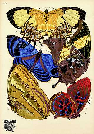 蝴蝶，4号盘`Butterflies, Plate-4 by Painter of the 19th century