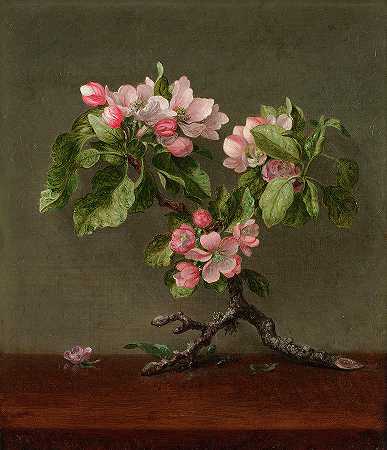 苹果花`Apple Blossoms by Martin Johnson Heade