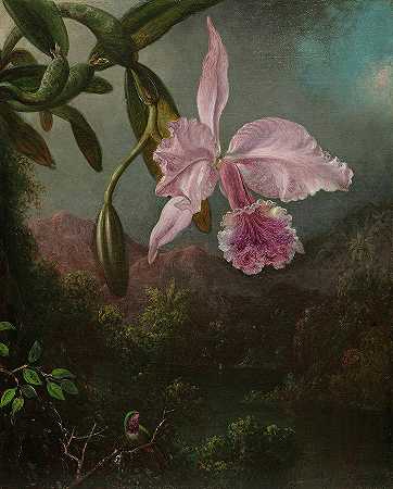 兰花，1873年`Orchid Blossoms, 1873 by Martin Johnson Heade