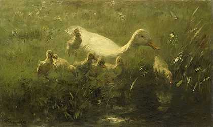 白肋`Witte eend met kiekens (1880 ~ 1910) by Willem Maris