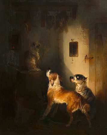 三条狗在一个肉室里`Drei Hunde in einer Fleischkammer (1861) by Carl Pischinger