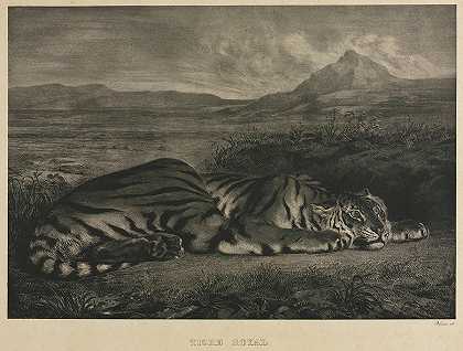 皇家老虎`Tigre Royal by Eugene Delacroix