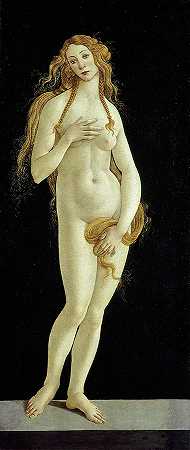 维纳斯`Venus by Sandro Botticelli