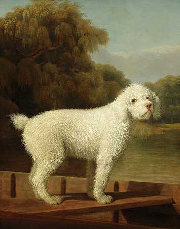 平底船上的白色贵宾犬`White Poodle in a Punt by George Stubbs