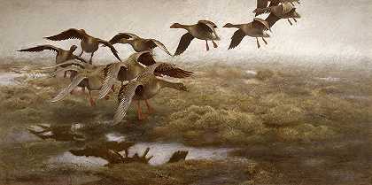 野鹅定居`Wild geese Settling by Bruno Liljefors