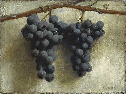 葡萄`Grapes (c. 1890~1895) by Joseph Decker