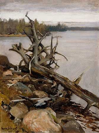 水中的死松树`Dead Pine in the Water (1898) by Eero Järnefelt