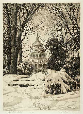 国会大厦的冬天`Winter at the Capitol by Ronau William Woiceske