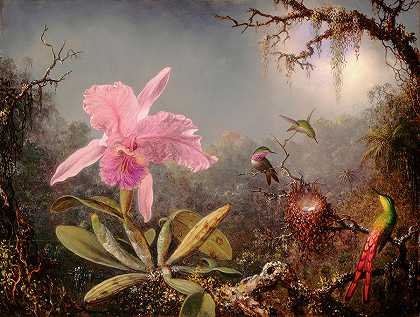 卡特兰和三只蜂鸟`Cattleya Orchid and Three Hummingbirds by Martin Johnson Heade
