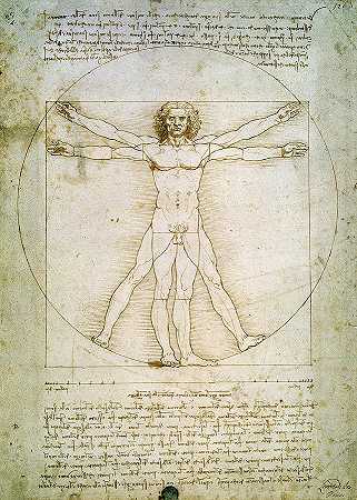 人形的比例`The Proportions of the Human Figure by Leonardo da Vinci