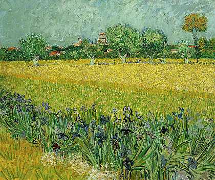 阿尔勒附近有花的田野`Field with Flowers near Arles by Vincent van Gogh