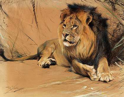 说谎的狮子`Lying lion by Friedrich Wilhelm Kuhnert