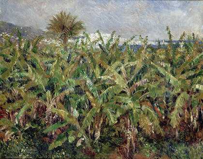 香蕉园`Field of Banana Trees by Pierre-Auguste Renoir