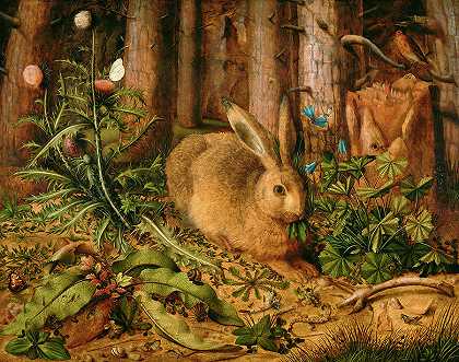 森林里的野兔`A Hare in the Forest by Hans Hoffmann