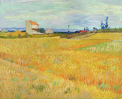 惠特菲尔德`Wheatfield by Vincent Van Gogh