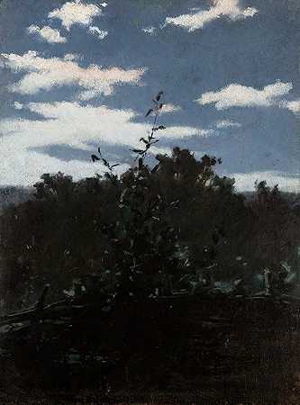 有灌木丛篱笆的风景`Landscape with a Brushwood Fence (1880) by Witold Pruszkowski