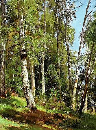 桦树林`Birch Grove by Ivan Shishkin