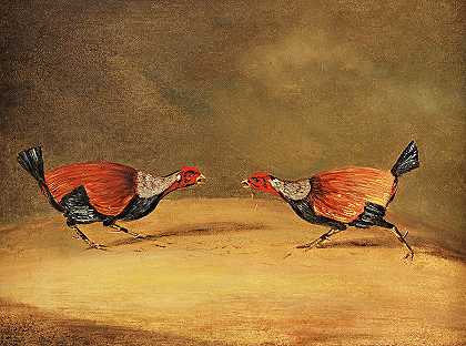 斗鸡`Cockfighting by Henry Thomas Alken