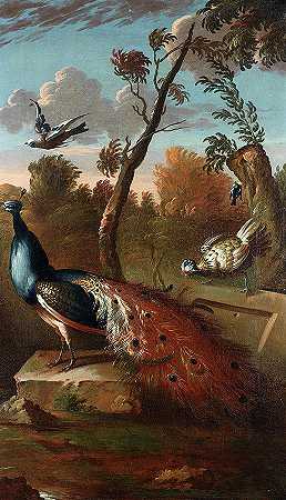 孔雀和其他鸟类在树林中`Peacock and other birds in a wooded setting by Follower of Pieter Casteels