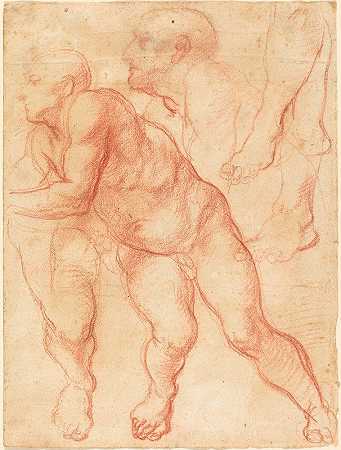 对男性裸体的研究`Studies of a Male Nude (c. 1550) by Giovanni Battista Naldini