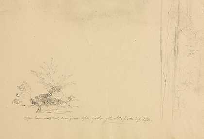 景观和树木研究（verso）`Landscape and Tree Studies (verso) (c. 1851) by David Johnson