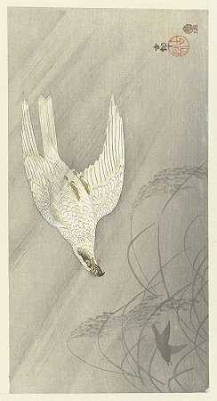 猎鹰`Hunting hawk (1900 ~ 1910) by Ohara Koson