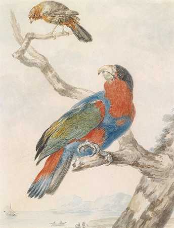 鹦鹉`Papagei by Abraham Meertens