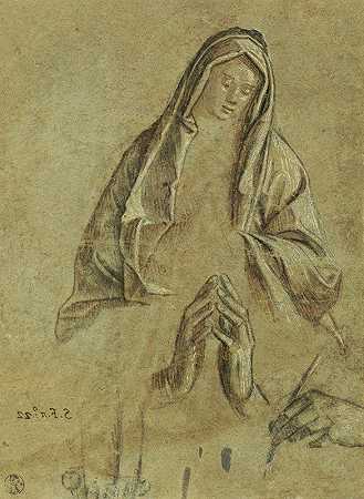 圣母与手的研究`Study of the Virgin and of Hands (1505) by Vittore Carpaccio
