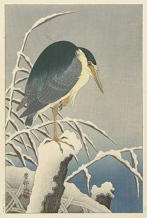 雪中的苍鹭`Heron in snow (1920 ~ 1930) by Ohara Koson