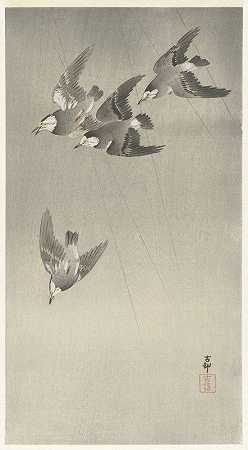 雨中的椋鸟`Starlings in the rain (1900 ~ 1930) by Ohara Koson