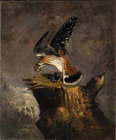 秃鹫及其猎物`Vulture and Its Prey (1844) by Robert S. Duncanson