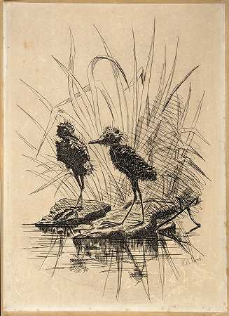 两只鸟`Two Birds by Frederick Stuart Church