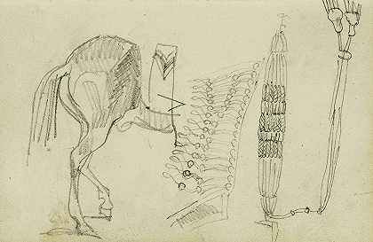 马的研究和流苏`Horse Studies and Tassels (1812 ~ 1814) by Théodore Géricault