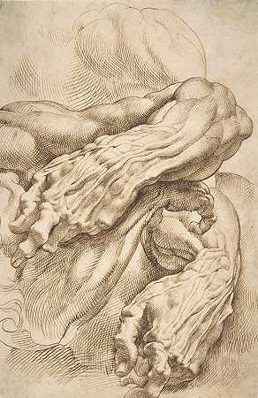 解剖学研究左前臂分两种姿势，右前臂`Anatomical Studies; a left forearm in two positions and a right forearm (ca. 1600–1605) by Peter Paul Rubens