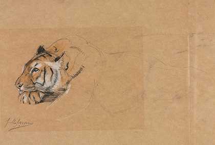 虎`Tiger by John Macallan Swan