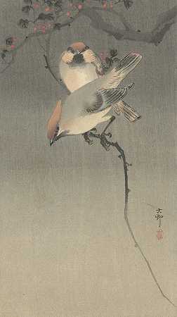 蜡翅鸟`Waxwing birds (1900 ~ 1930) by Ohara Koson