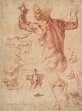 利比亚西比尔研究`Studies for the Libyan Sibyl (ca. 1510–11) by Michelangelo